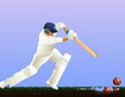 Play Top Spinner Cricket on Play26.COM